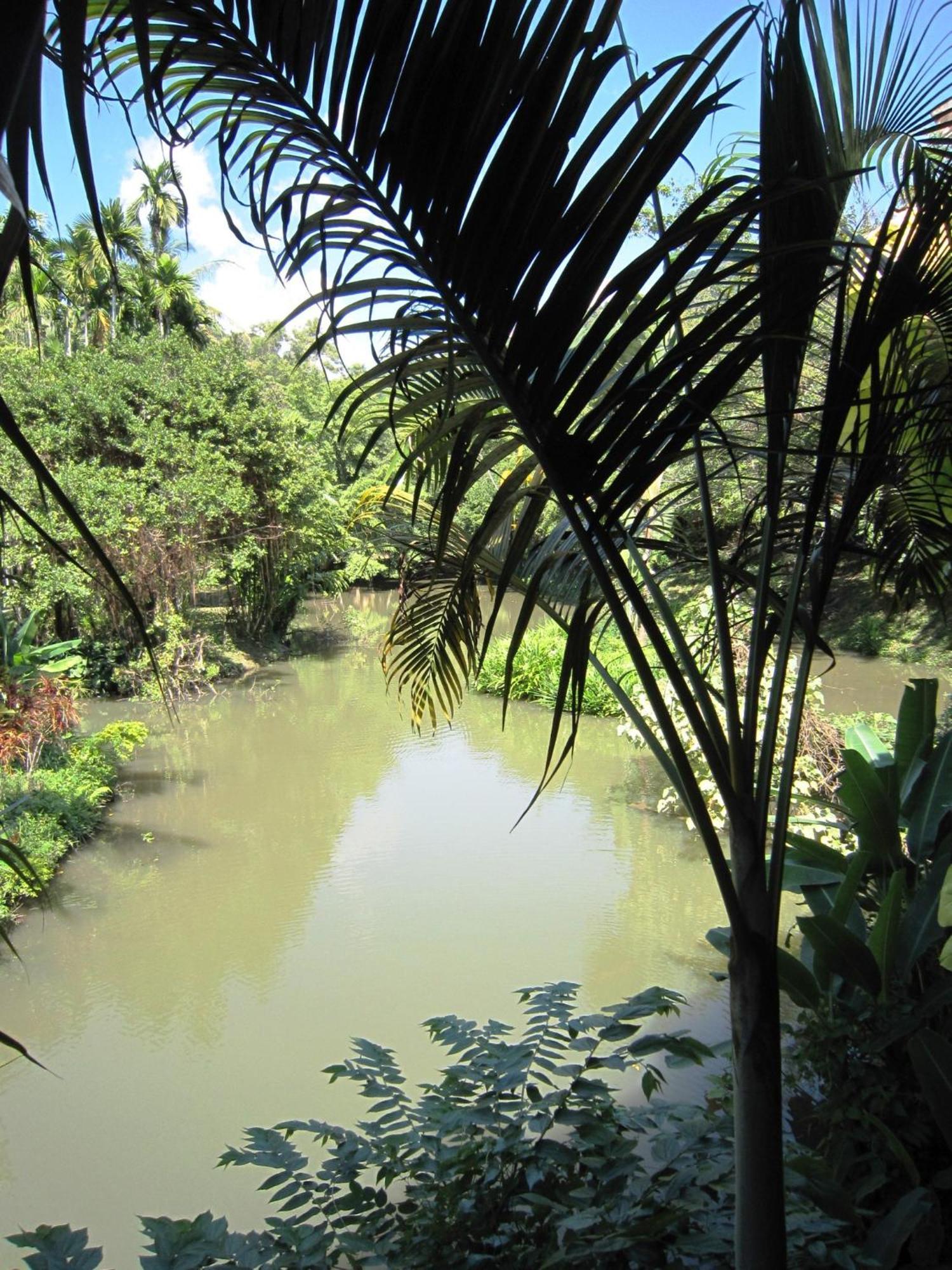 Phanom Bencha Mountain Resort Krabi Luaran gambar