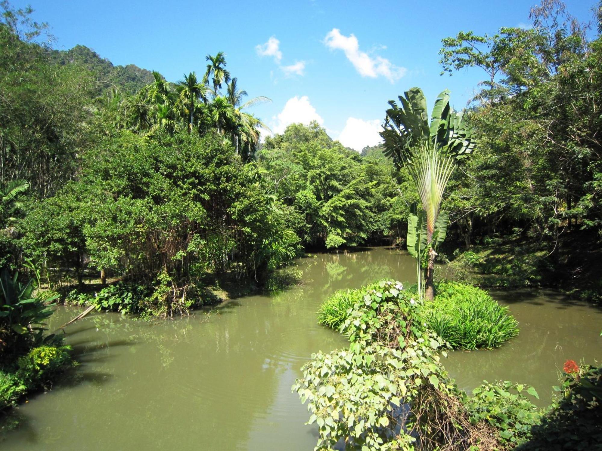 Phanom Bencha Mountain Resort Krabi Luaran gambar