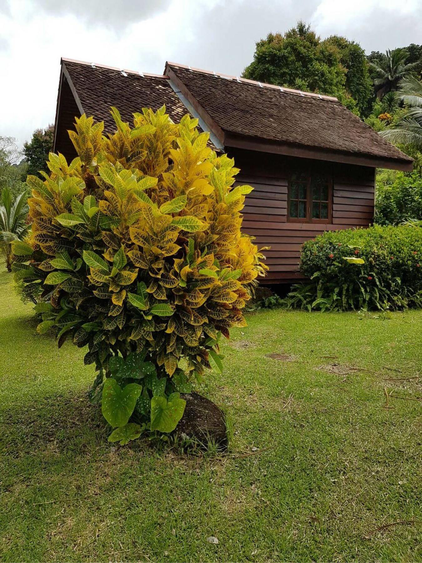 Phanom Bencha Mountain Resort Krabi Luaran gambar