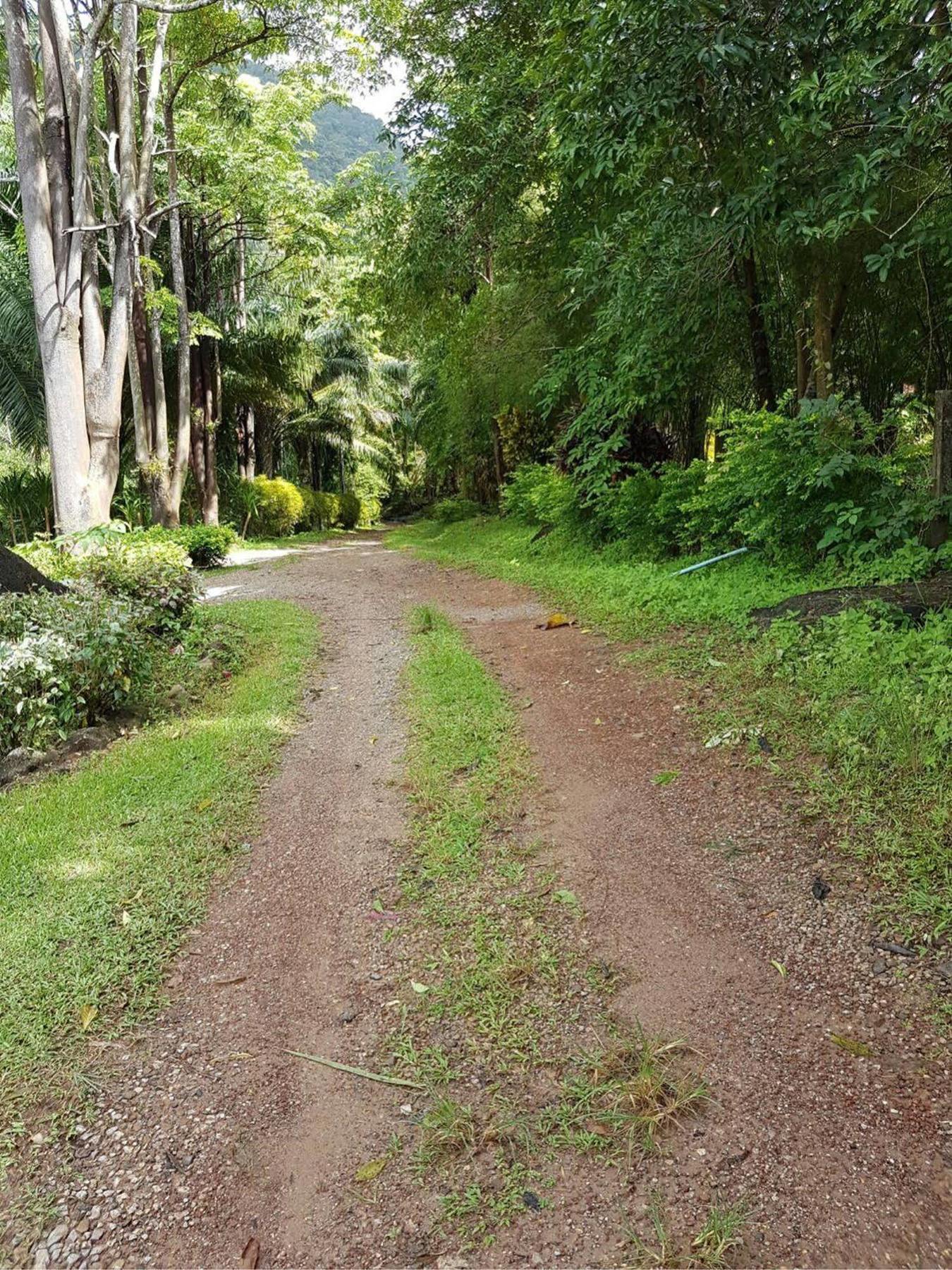 Phanom Bencha Mountain Resort Krabi Luaran gambar